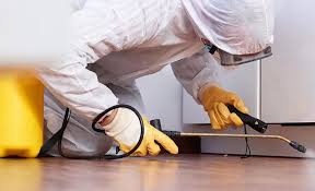 Best Real Estate Pest Inspections  in New Bremen, OH